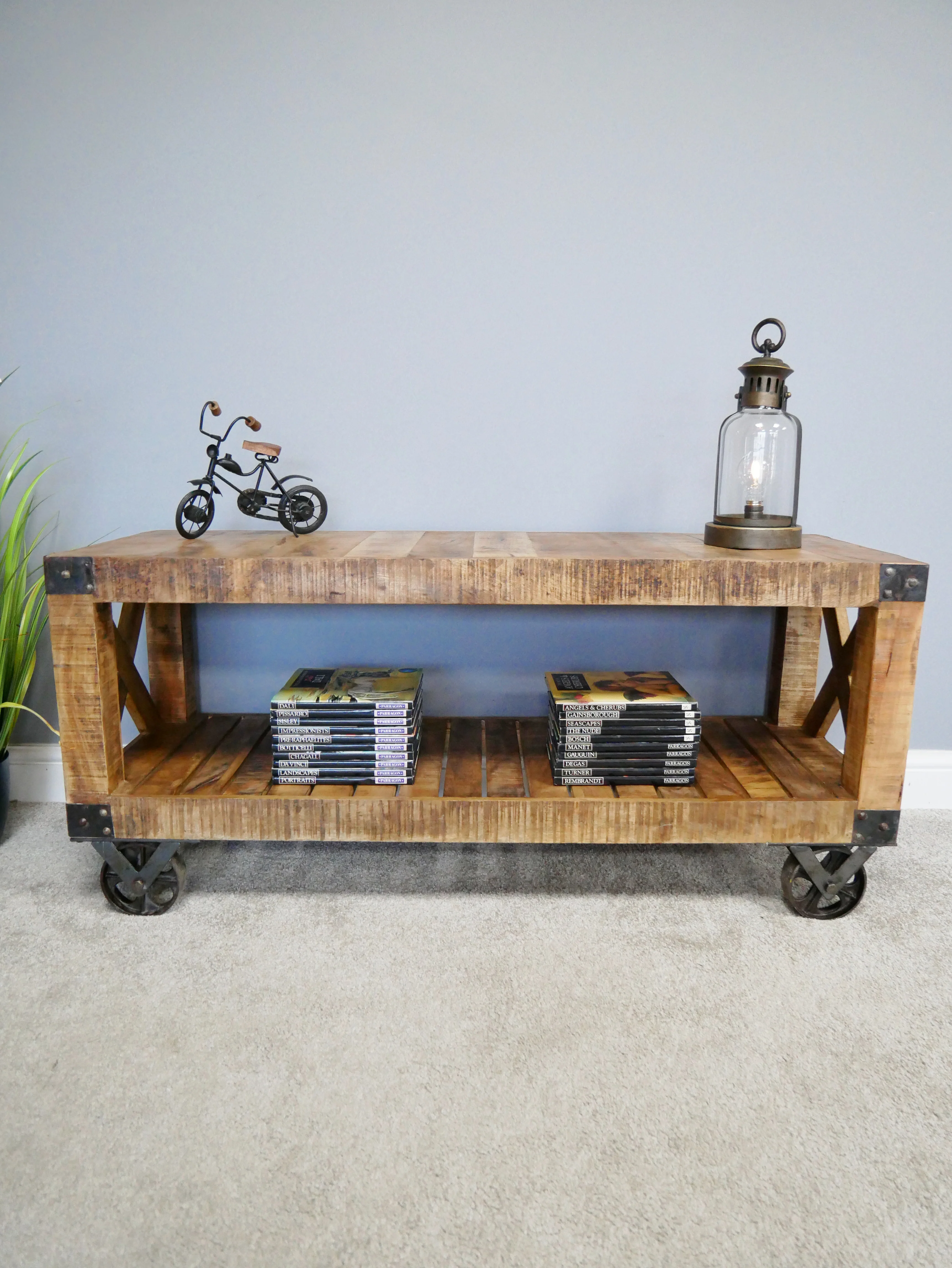 Industrial TV Cabinet - Image 4