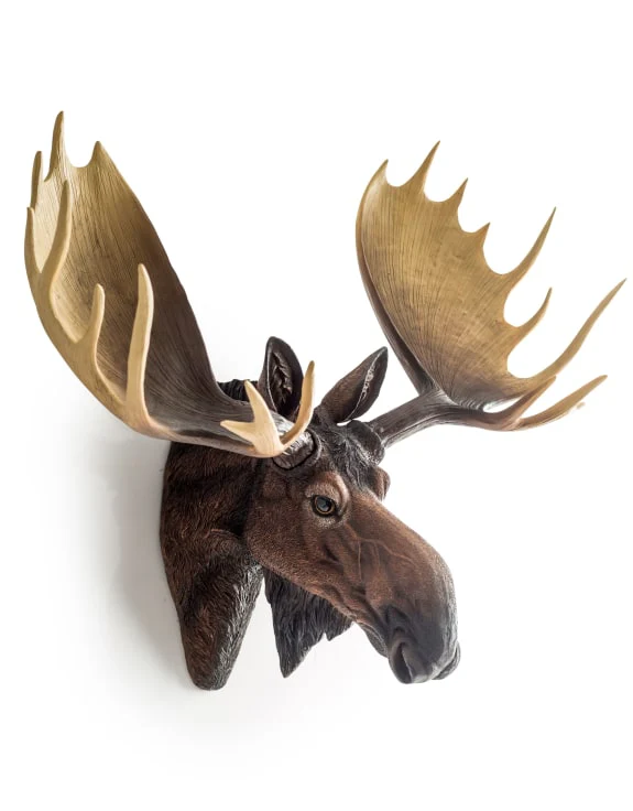 Moose Wall Head - Image 2
