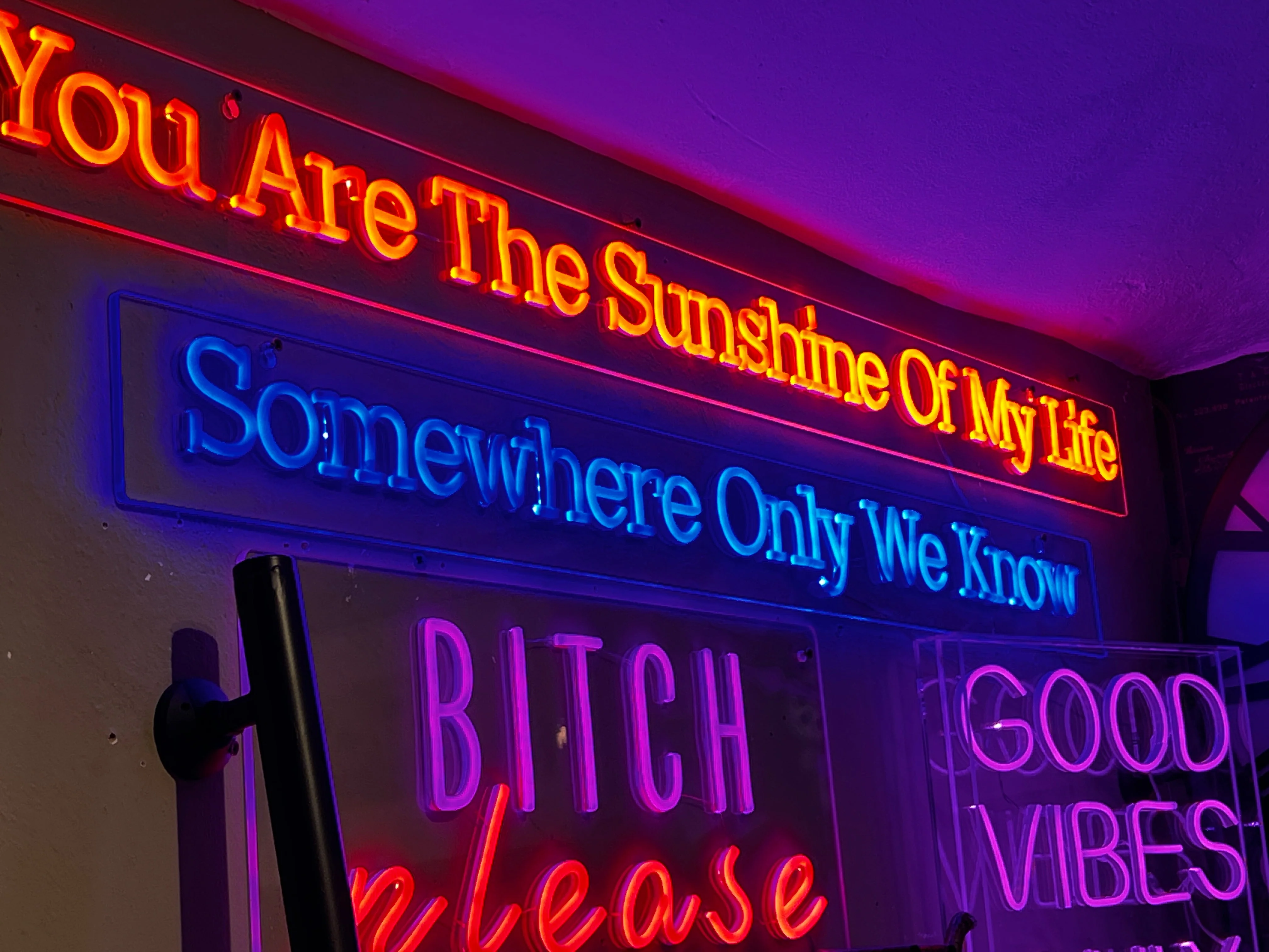 LED Neon - Bitch Please - Image 2