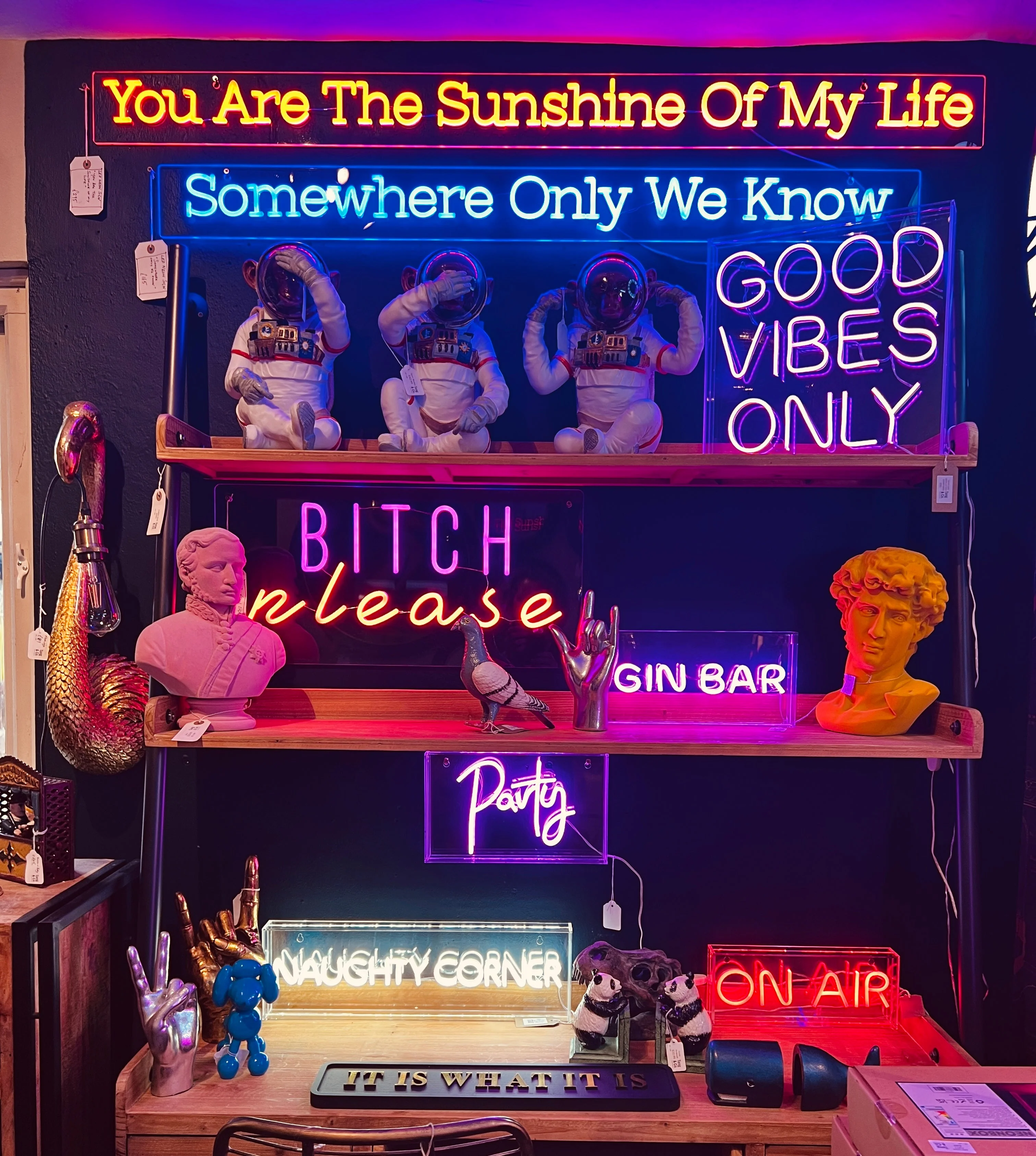 LED Neon - Bitch Please - Image 3