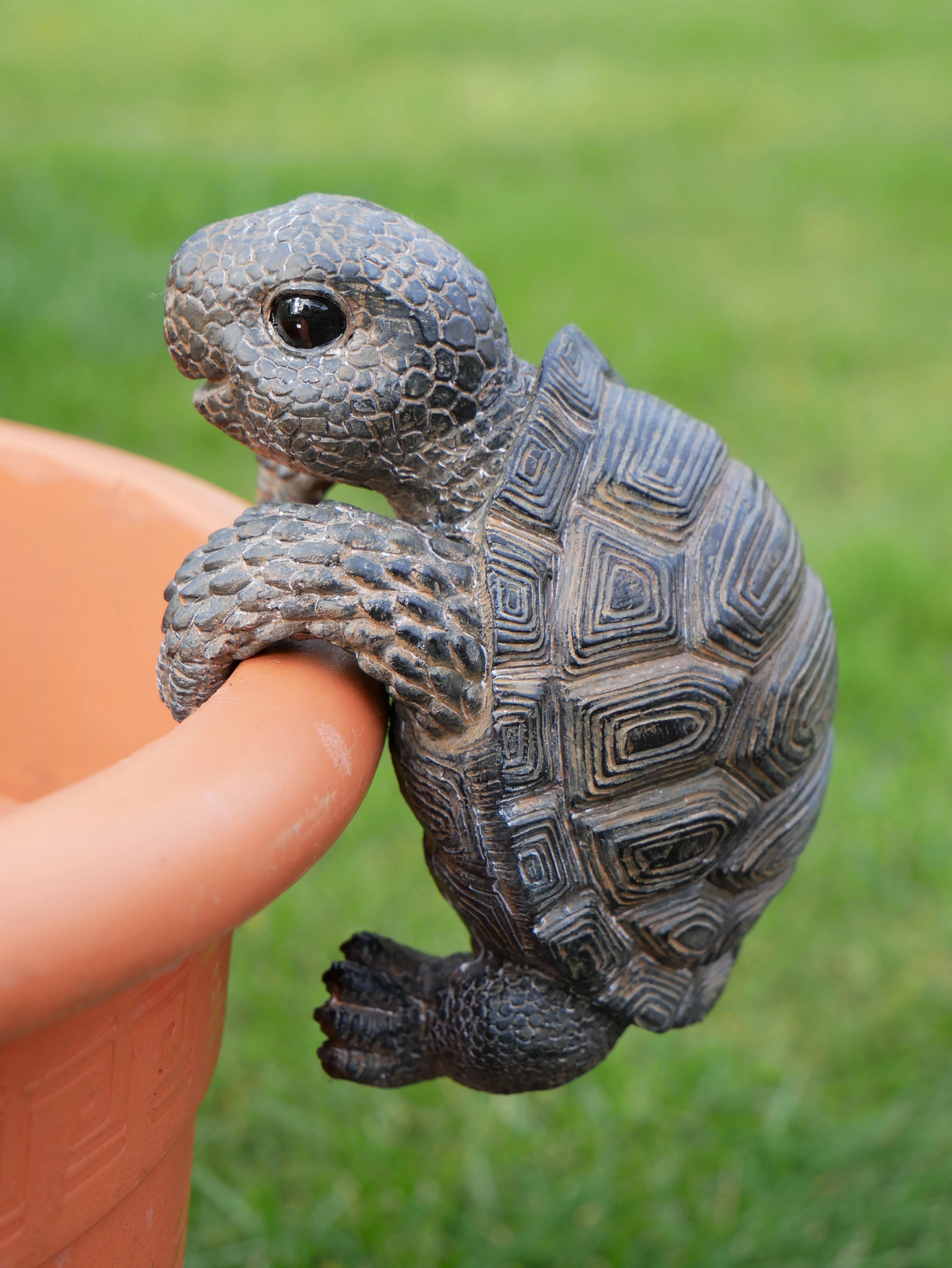 Pot Hanging Tortoise - Image 2